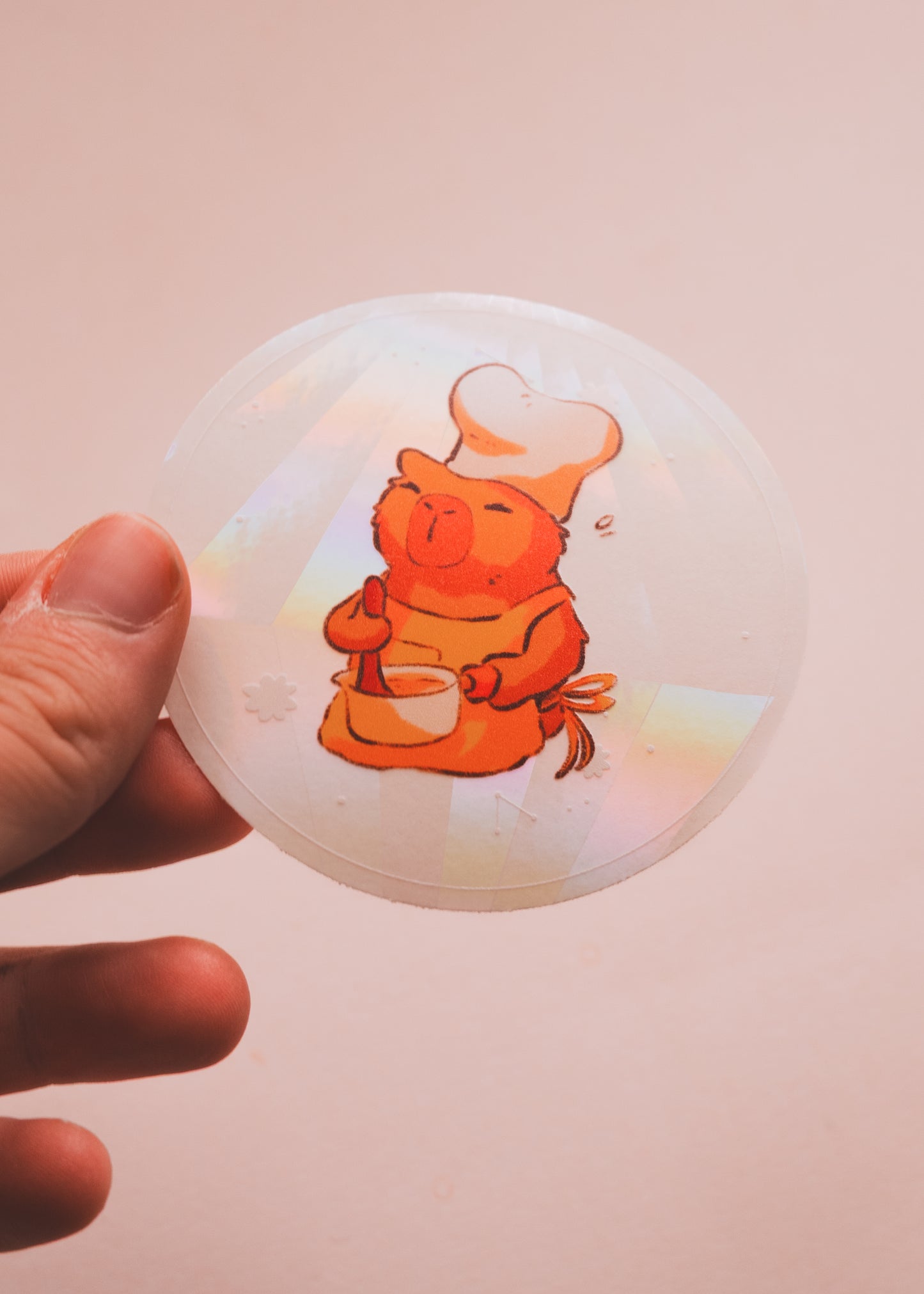 Sun catcher attrape-soleil canard décoration fenêtre illustration originale