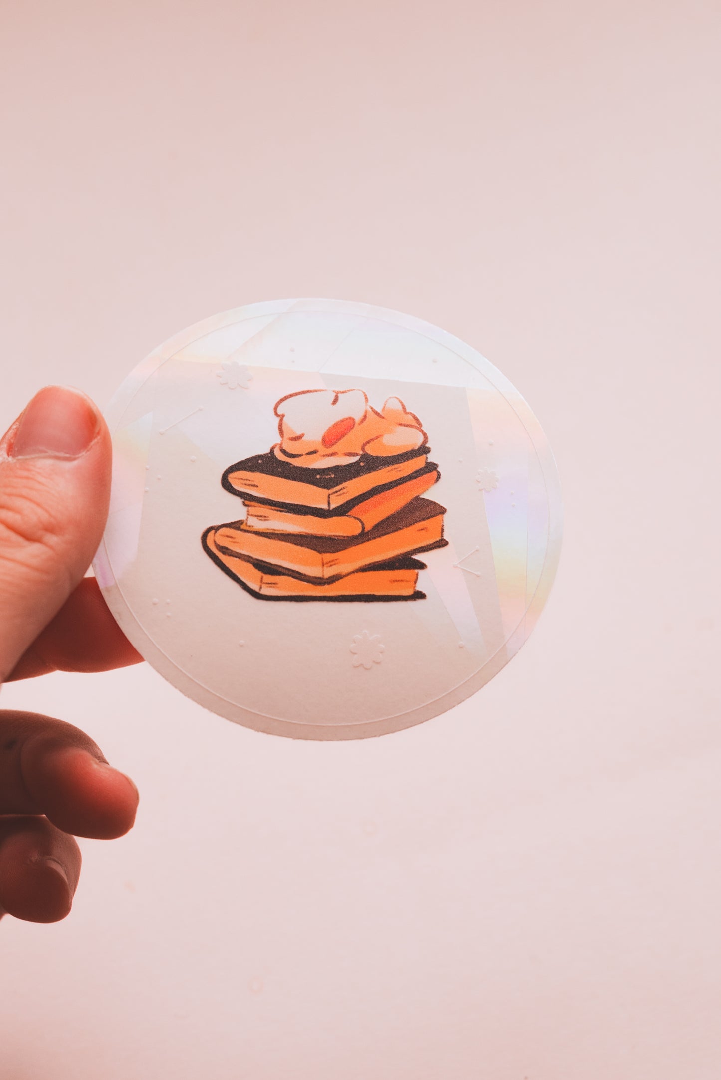 Sun catcher attrape-soleil canard décoration fenêtre illustration originale