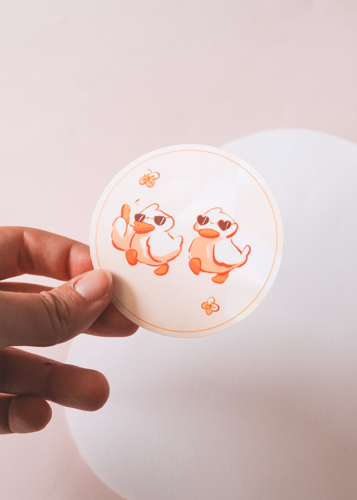 Sun catcher attrape-soleil canard décoration fenêtre illustration originale