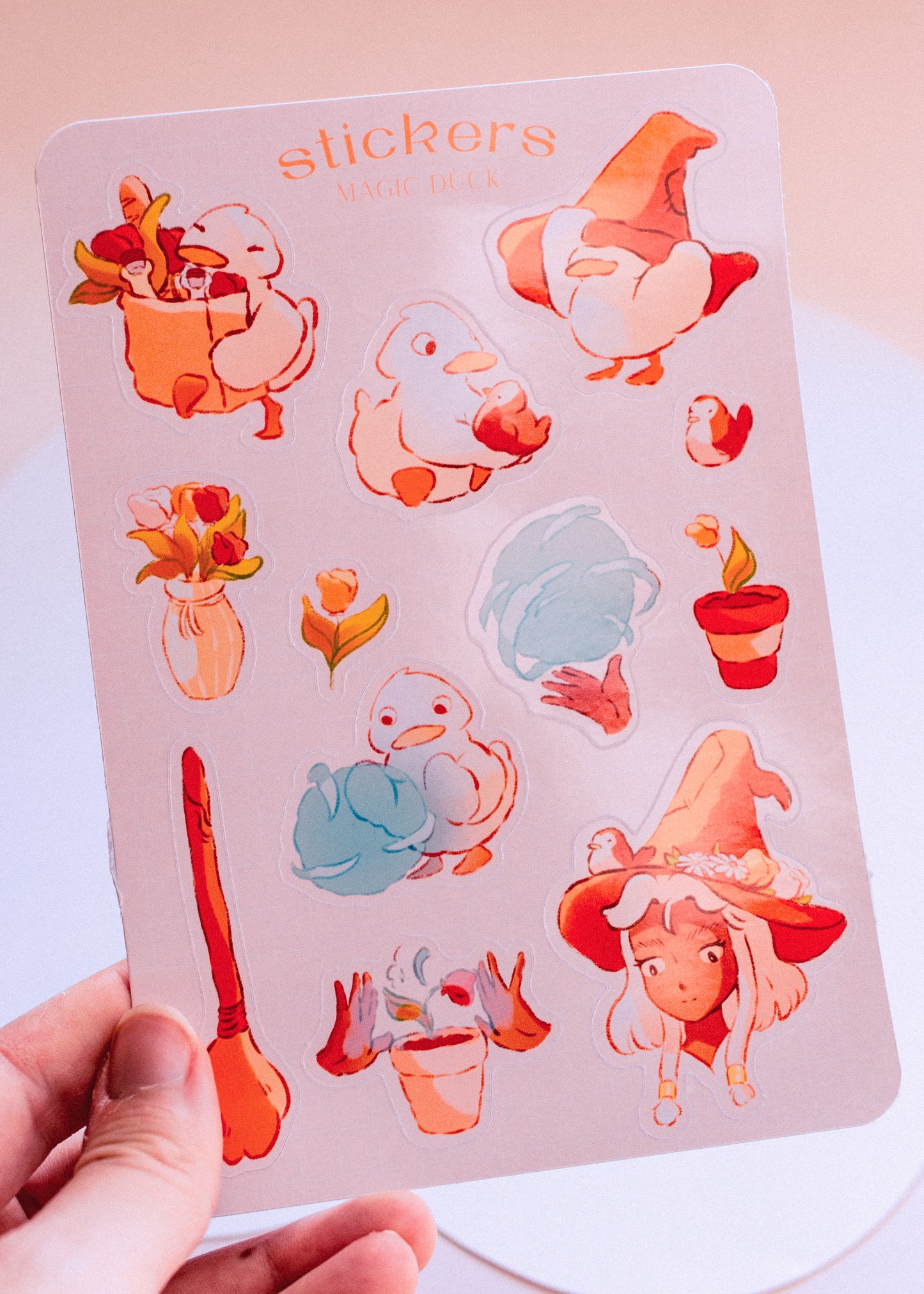 Feuille de stickers - Canards magiques