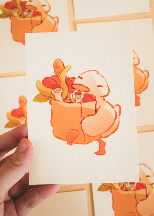 Minis prints - Canard courses