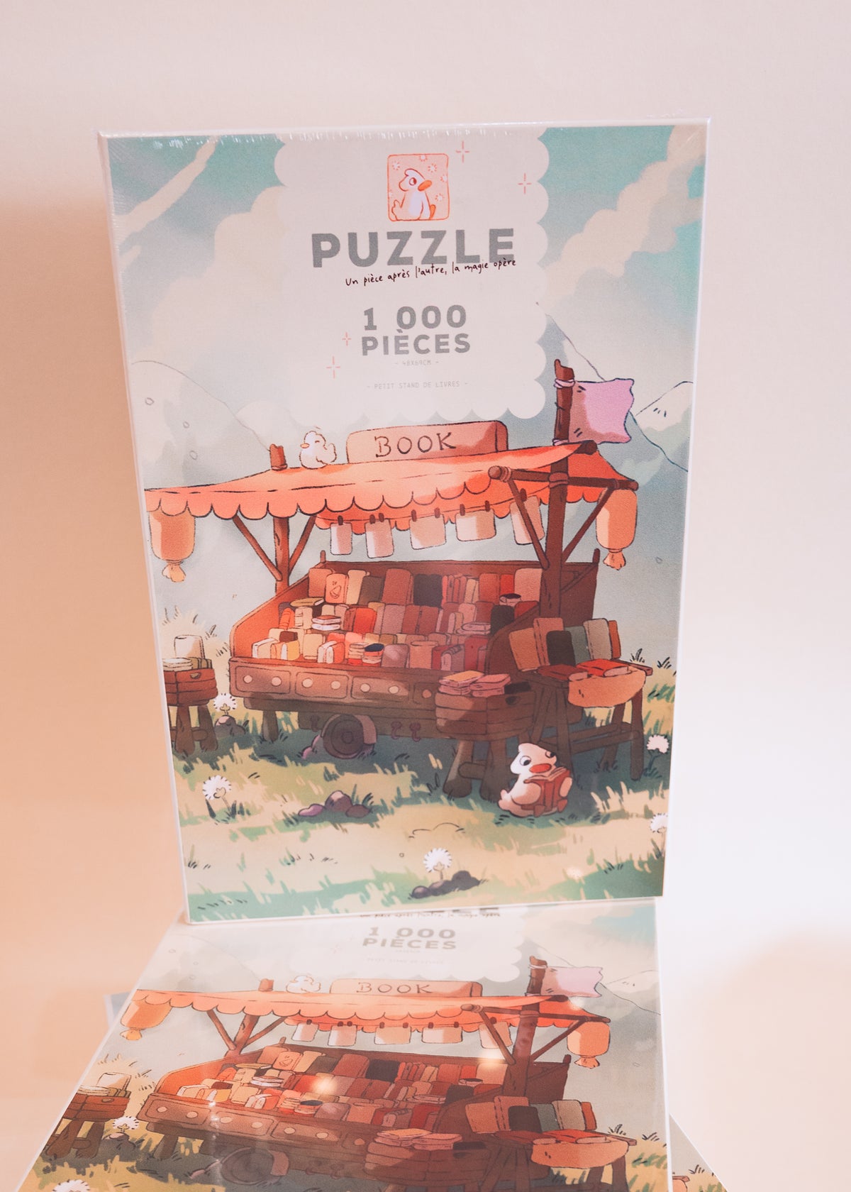 Puzzle - Stand de livres