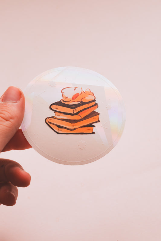 Sun catcher attrape-soleil canard décoration fenêtre illustration originale