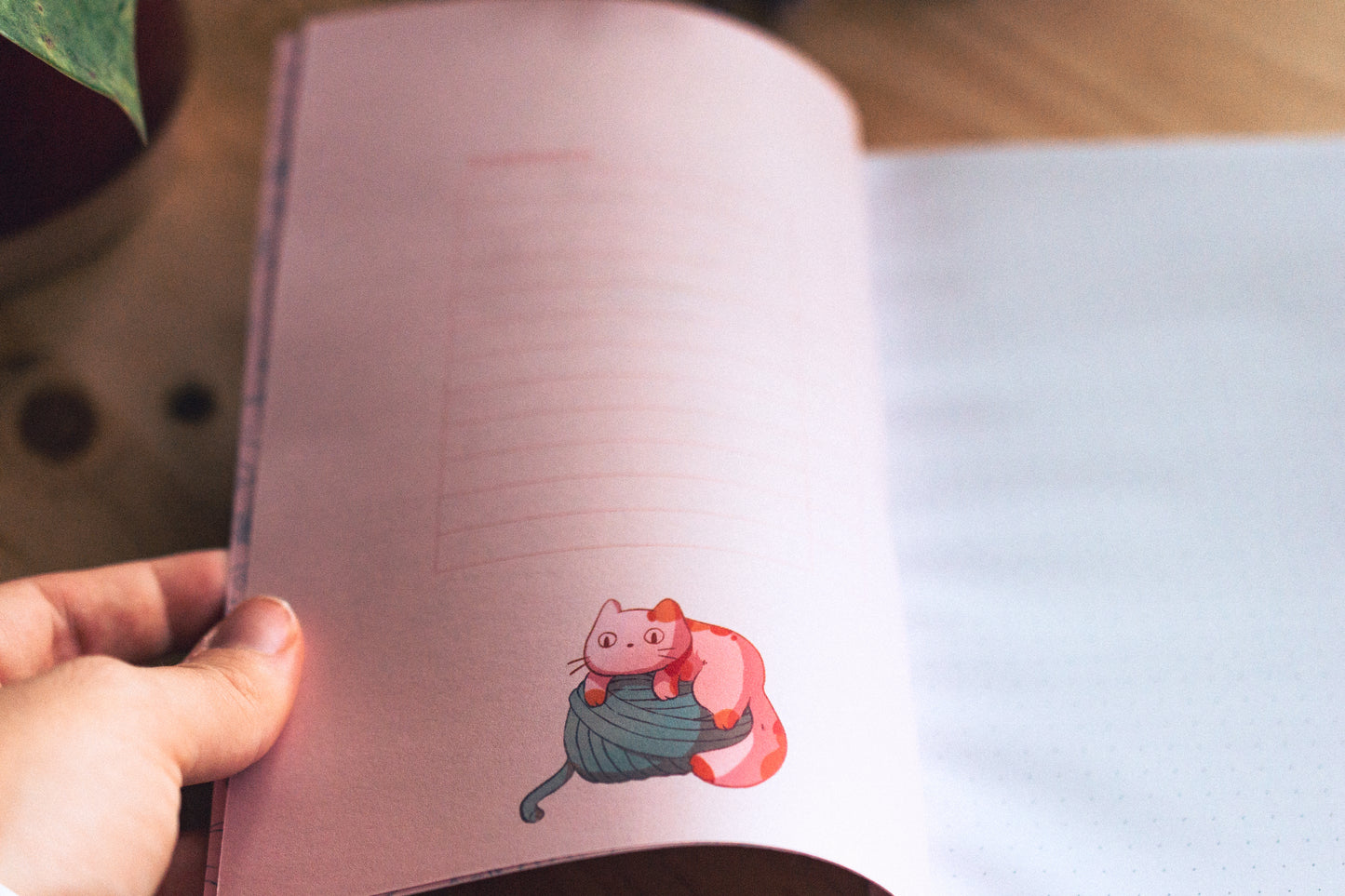 Carnet - Canard et chat au Japon